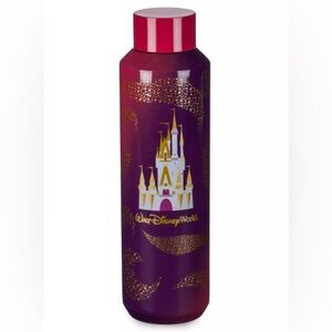 Starbucks Disney Parks 2023 Cinderella Castle 20 oz Water Bottle Red Purple Ombr